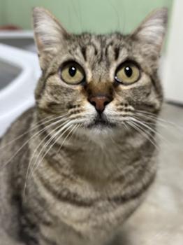 Ivanna Bild von Ivanna