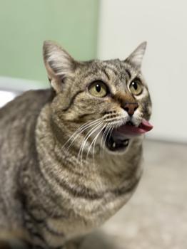 Ivanna Bild von Ivanna