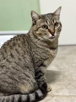 Ivanna Bild von Ivanna