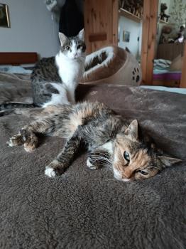 Silwa Bild von Silwa