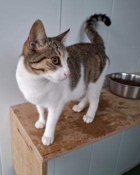 India Bild von India