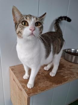 India Bild von India