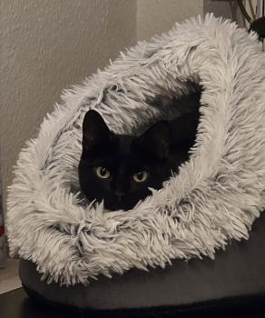 Trinidad Bild von Trinidad