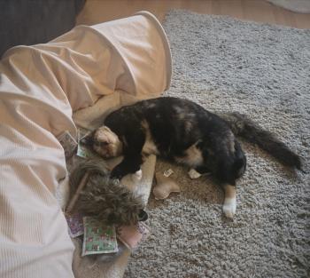 Juicy Bild von Juicy