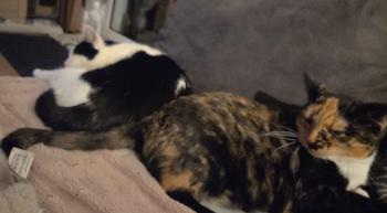 Juicy Bild von Juicy