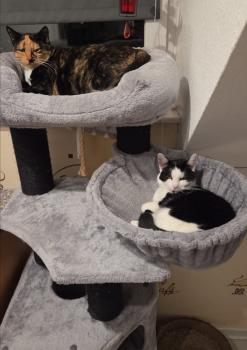 Juicy Bild von Juicy