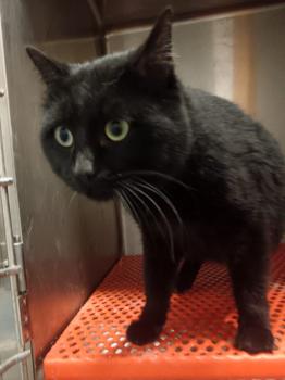 Inigo Bild von Inigo