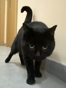 Inigo Bild von Inigo