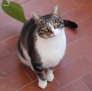 Grease Bild von Grease