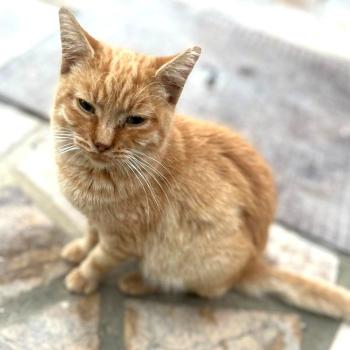 Rubio Bild von Rubio