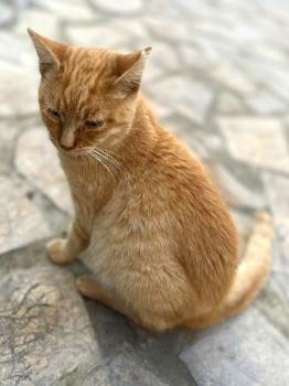 Rubio Bild von Rubio