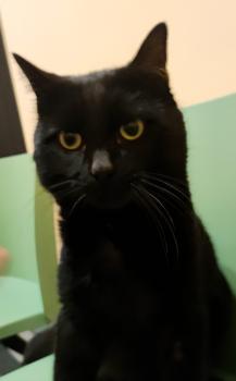 Inigo Bild von Inigo