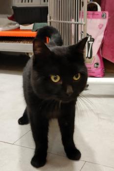 Inigo Bild von Inigo