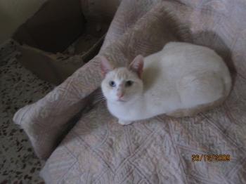 Bild von Tango