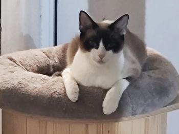 Bild von Shanti