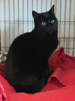 Relampago Bild von Relampago