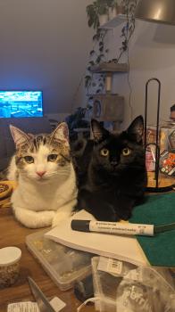 Brezel Bild von Brezel