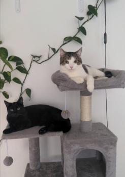 Brezel Bild von Brezel