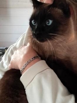 Bild von Ojos Grises