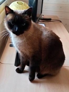 Bild von Ojos Grises