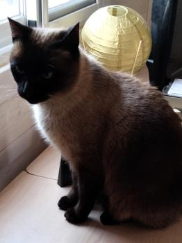 Bild von Ojos Grises