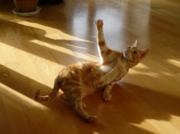 naila Bild von Naila