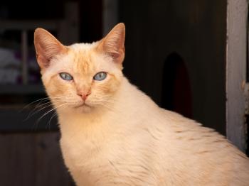 Bild von Floqui