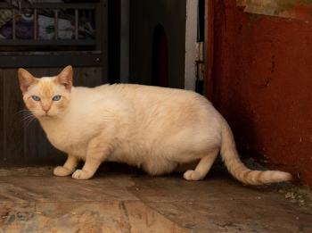 Bild von Floqui