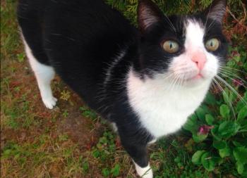 Ashira Bild von Ashira