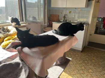 Waldruth Bild von Waldruth