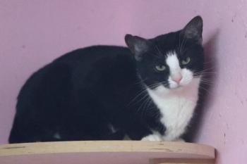 Irina Bild von Irina