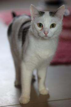 Anastasia Bild von Anastasia