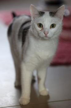 Anastasia Bild von Anastasia