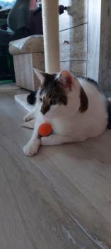 Bild von Ruffy