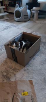 Bild von Nala