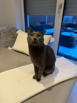 Quimi Bild von Quimi