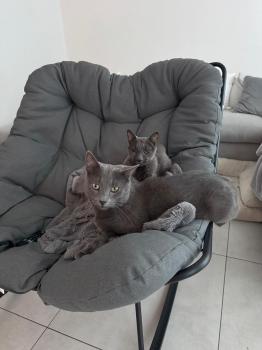 Quimi Bild von Quimi
