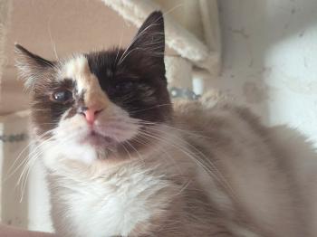 Thelma Bild von Thelma