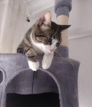 Sugus Bild von Sugus