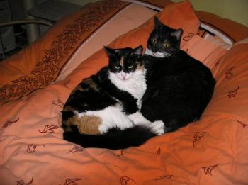 MElly Bild von Melly