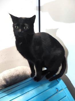 Salem Bild von Salem