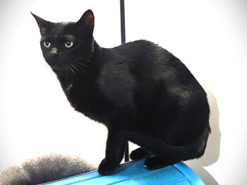Salem Bild von Salem
