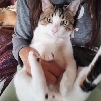 Mai Bild von Mai