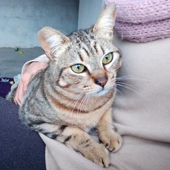 Sugar Bild von Sugar