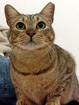 Sugar Bild von Sugar