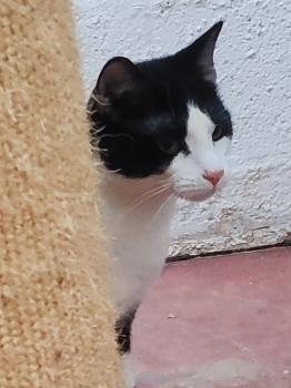 Bild von Shari