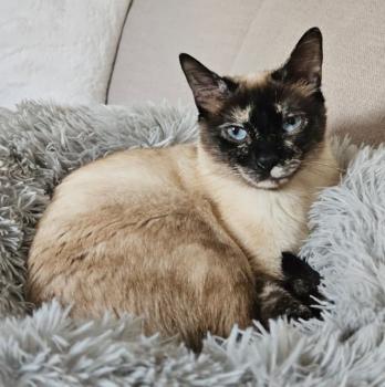 Mila (Bimba) Bild von Mila (Bimba)