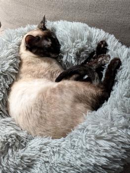 Mila (Bimba) Bild von Mila (Bimba)