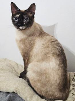 Mila (Bimba) Bild von Mila (Bimba)
