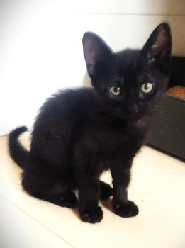 Bild von Tiana
